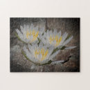 Search for lotus puzzles Flower
