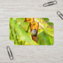 Recherche de et escargot cartes visite Spirale