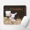 Recherche de moutons mignons tapis souris Bétail