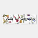 Search for brake Flowers
