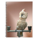 Recherche de perroquet carnets Cacatoès