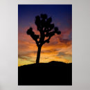 Recherche de sunrise posters Mountains