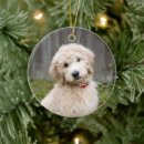 Search for mixed breed dog ornaments Cute