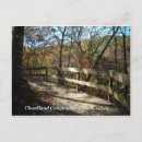Search for cloudland Georgia