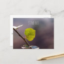 Search for nature quote postcards Create your own