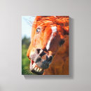 Recherche de funny horse gifts Photo de cheval