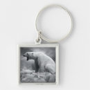 Search for water ice keychains Arctic