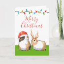 Search for guinea pig cards Santa