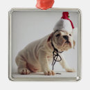 Recherche de chiot de bouledogue ornements Animal