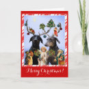 Search for spoof christmas cards Funny