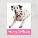 Search for dalmatian lover cards Puppy