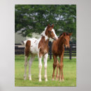 Recherche de debbie posters Bob langrish