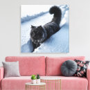 Search for black cat canvas prints Kitty