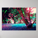 Search for forest posters Cool