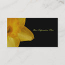 Recherche de jonquilles cartes visite Floral