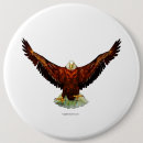 Search for eagle buttons Bald eagles
