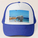 Search for polar bear baseball hats Animal