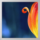 Search for curling posters Floral