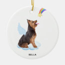 Search for yorkie pet memorials Rainbow bridge