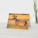 Search for larry ditto cards Autumn