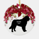 Search for newfoundland dog ornaments For pets