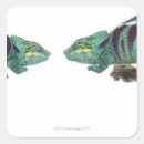 Search for panther stickers Wildlife