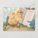 Search for vintage chicken easter cards Baby chick