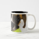 Search for dog with ball mugs Animal body part