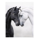 Search for stallion horse art Beautiful