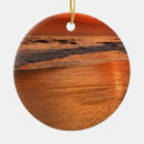 Search for reflection ornaments Ocean