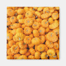 Recherche de gourde magnets Jardin