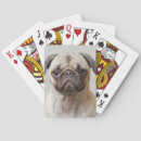 Recherche de chien jeux de cartes Bébé