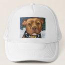 Search for american pit hats Staffordshire terrier bully