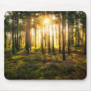 Search for panorama electronics Nature