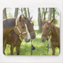 Recherche de cheval quart tapis souris Brun