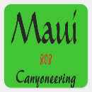 Search for 808 stickers Hawaii