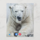 Search for bears flyers Funny