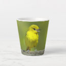 Search for orioles mugs Bird