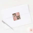 Search for dusty rose stickers Script