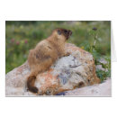 Recherche de weminuche Prairie