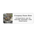 Search for chipmunk return address labels Nature