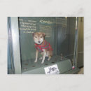 Recherche de mascottes cartes postales Chien