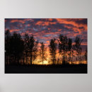 Search for red trees posters Sky