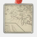 Search for hamptons ornaments Two