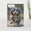 Search for beard birthday cards Dog