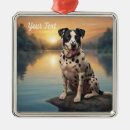 Recherche de chien dalmatien ornements Animal