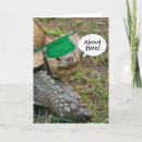 Search for tortoise cards Funny