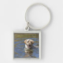 Search for rippled keychains River
