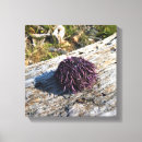 Search for sisters canvas prints Oregon