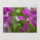 Recherche de sanskrit cartes postales Destination